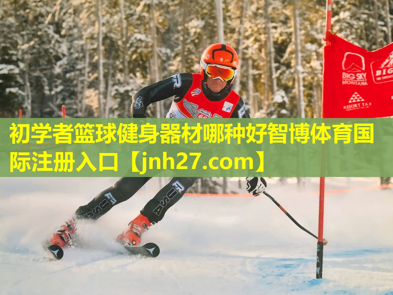 初学者篮球健身器材哪种好智博体育国际注册入口