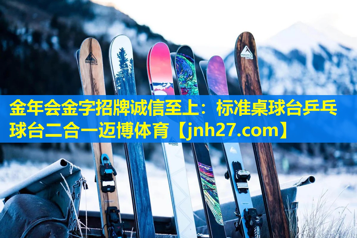 金年会金字招牌诚信至上：标准桌球台乒乓球台二合一迈博体育