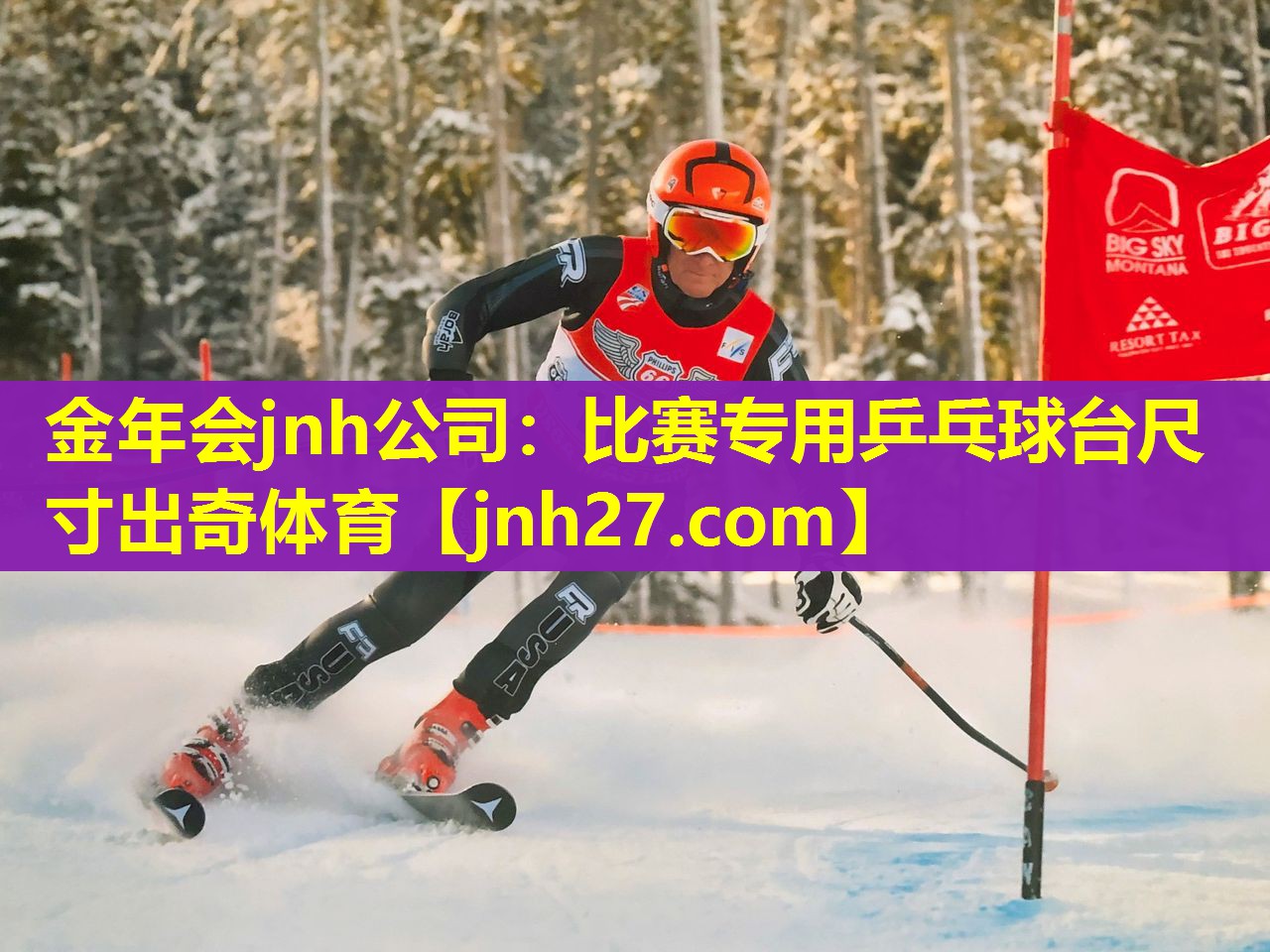 金年会jnh公司：比赛专用乒乓球台尺寸出奇体育