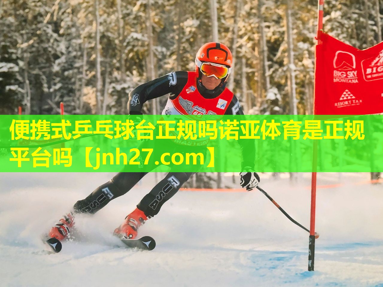 便携式乒乓球台正规吗诺亚体育是正规平台吗