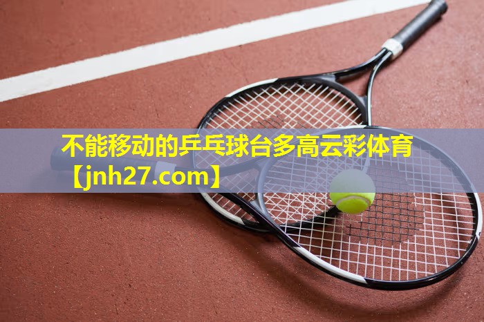 不能移动的乒乓球台多高云彩体育