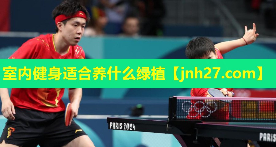 室内健身适合养什么绿植