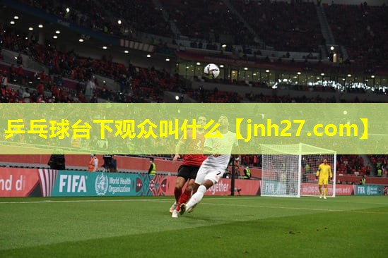 乒乓球台下观众叫什么
