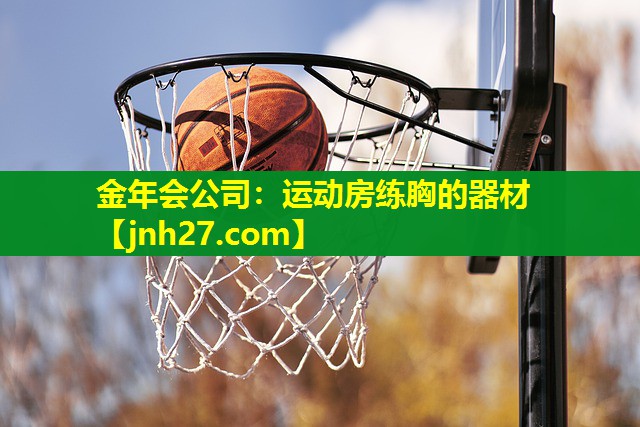 运动房练胸的器材