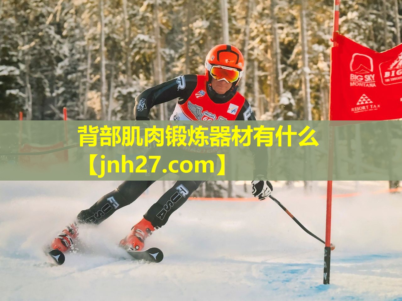 背部肌肉锻炼器材有什么