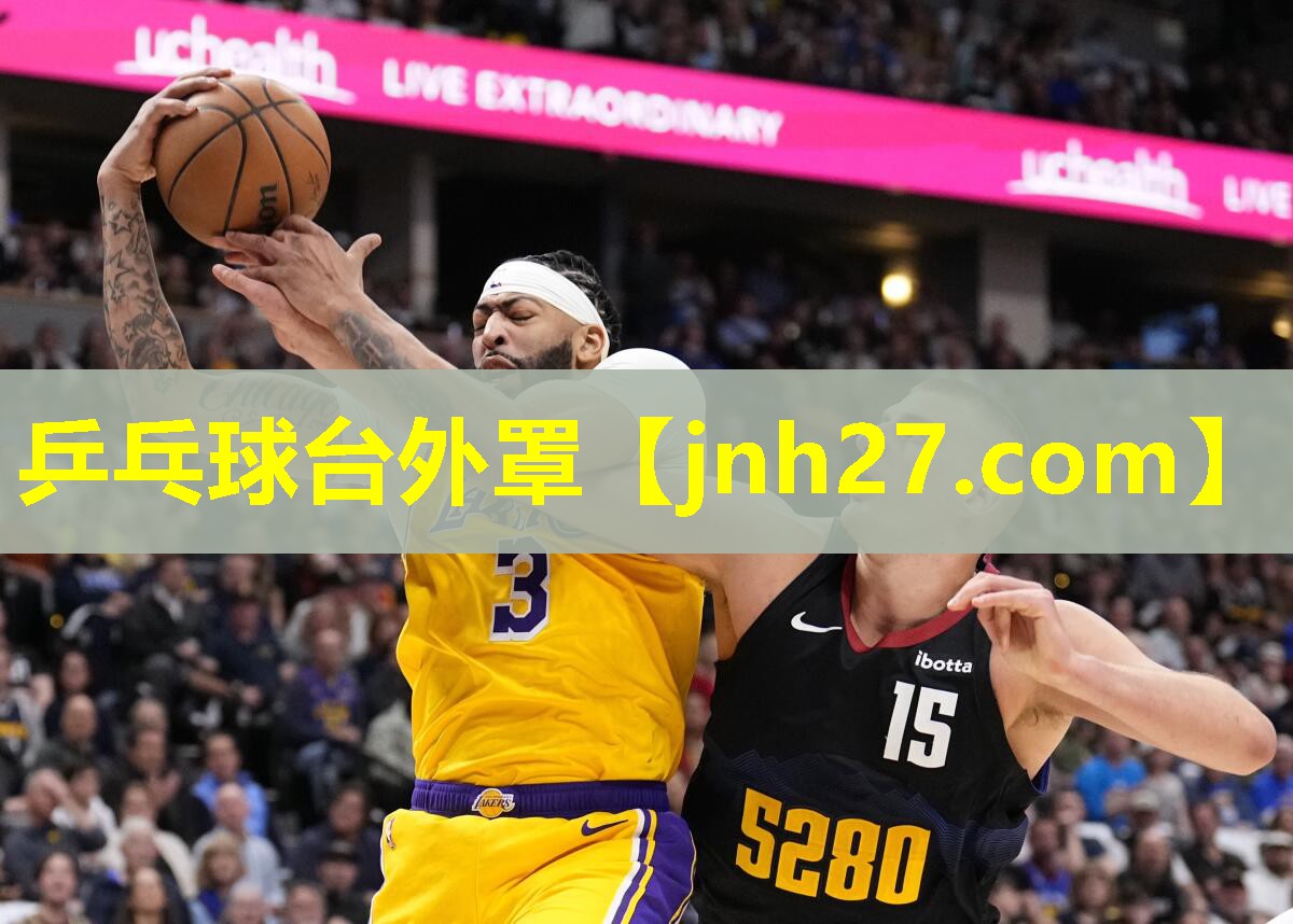 乒乓球台外罩