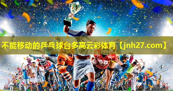 不能移动的乒乓球台多高云彩体育