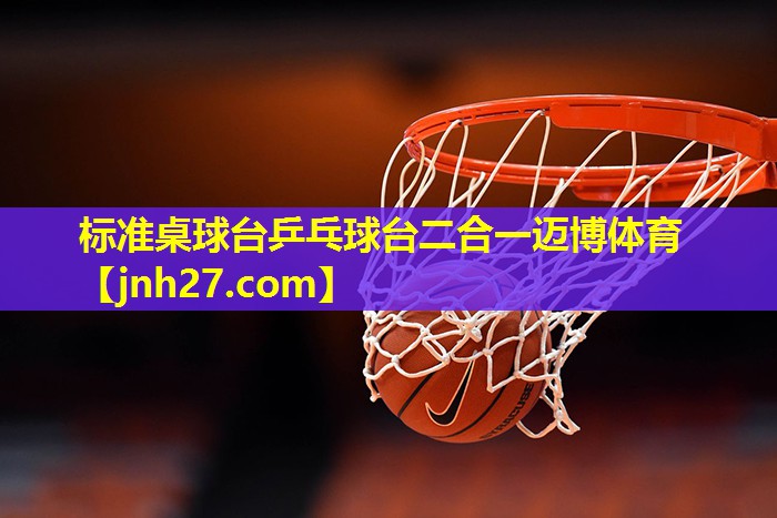 标准桌球台乒乓球台二合一迈博体育
