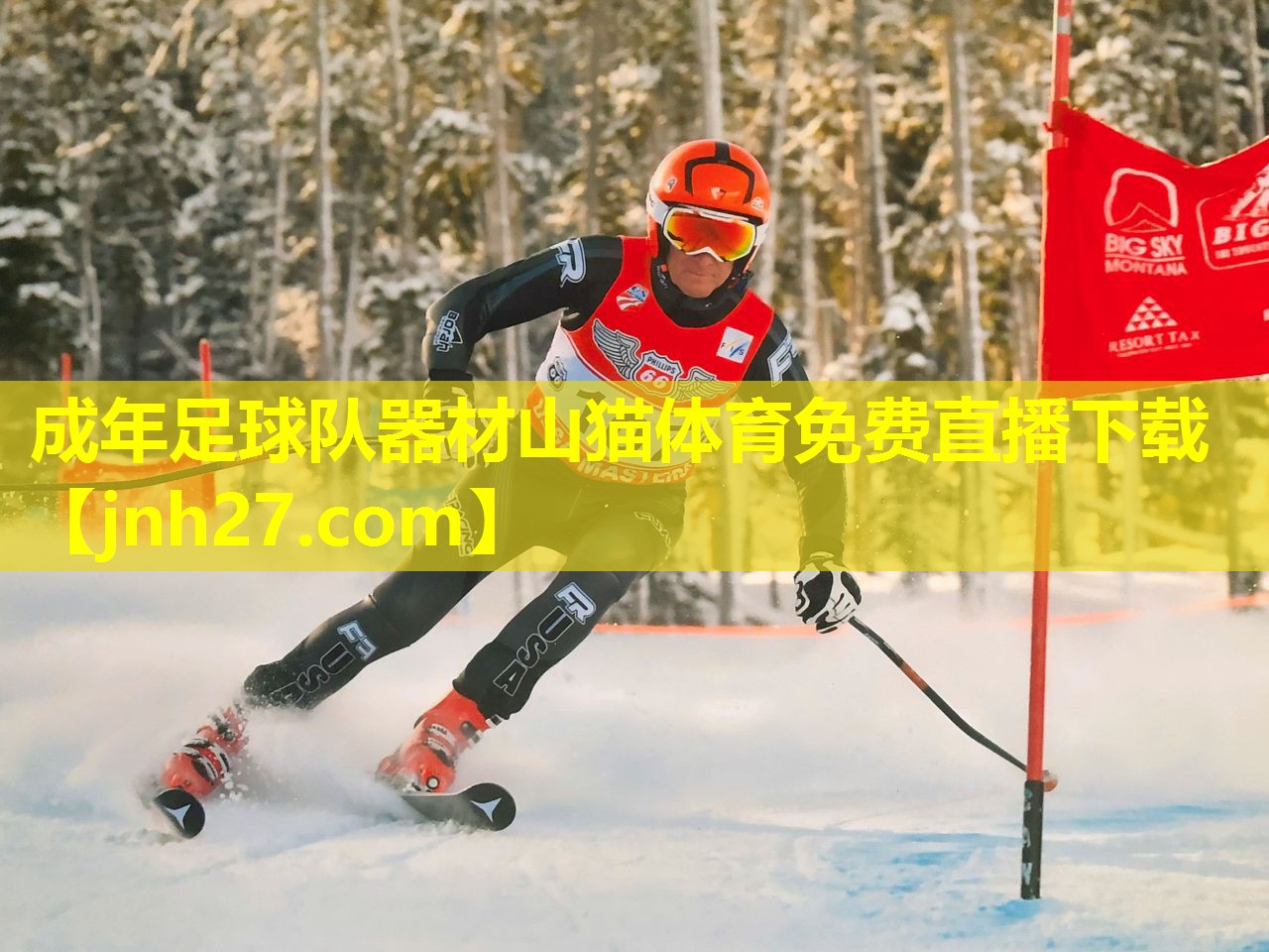 成年足球队器材山猫体育免费直播下载