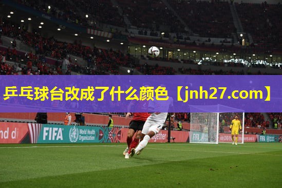 乒乓球台改成了什么颜色