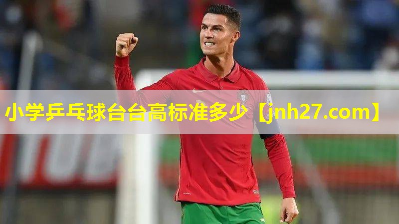 小学乒乓球台台高标准多少