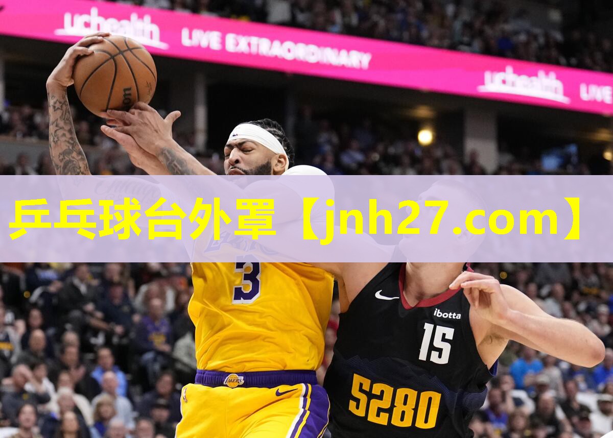 乒乓球台外罩