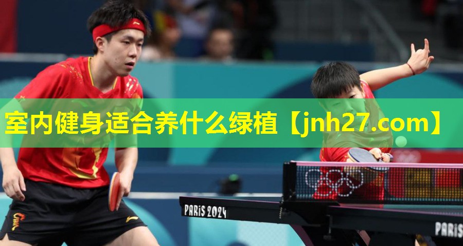 室内健身适合养什么绿植