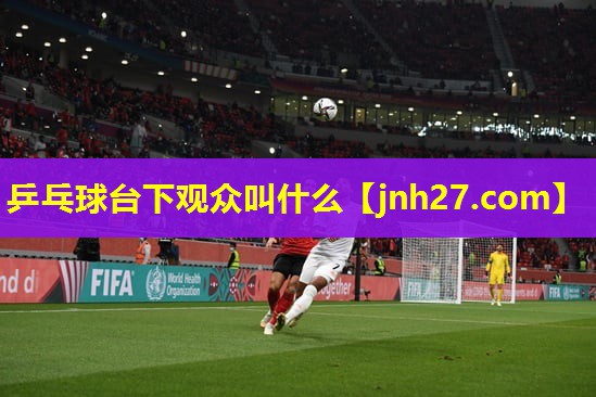 乒乓球台下观众叫什么 乒乓球台下观众叫什么
