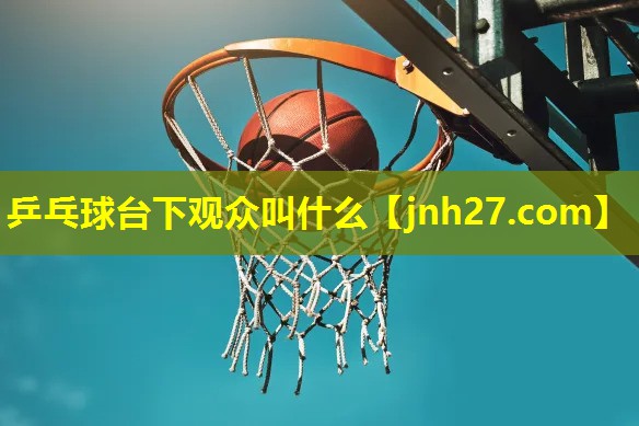 乒乓球台下观众叫什么